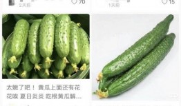 山东黄瓜爆料视频最新版,揭秘真相与争议